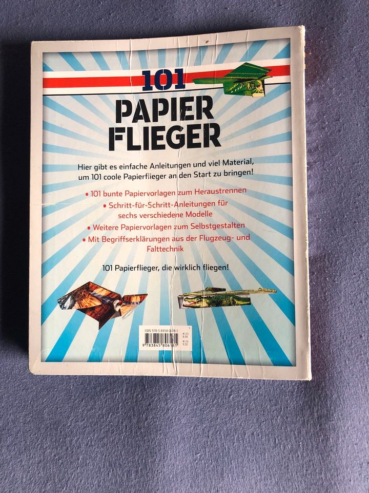 101 Papierflieger Flieger Basteln Falten in Ellwangen (Jagst)