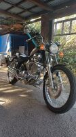 Yamaha virago 535 Niedersachsen - Goslar Vorschau