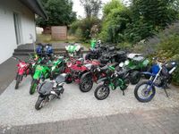 Pocketbike, Crossbike, Quads Nordrhein-Westfalen - Rietberg Vorschau