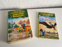 2 Bücher Das magische Baumhaus Nordrhein-Westfalen - Mülheim (Ruhr) Vorschau