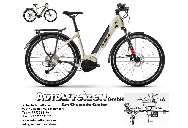 RH56 * L * E-BIKE HAIBIKE WINORA SINUS TREKKING * TESTBIKE in Röhrsdorf