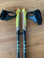 Leki Spinshark HTS 5.5 Alu Stuttgart - Stuttgart-Nord Vorschau