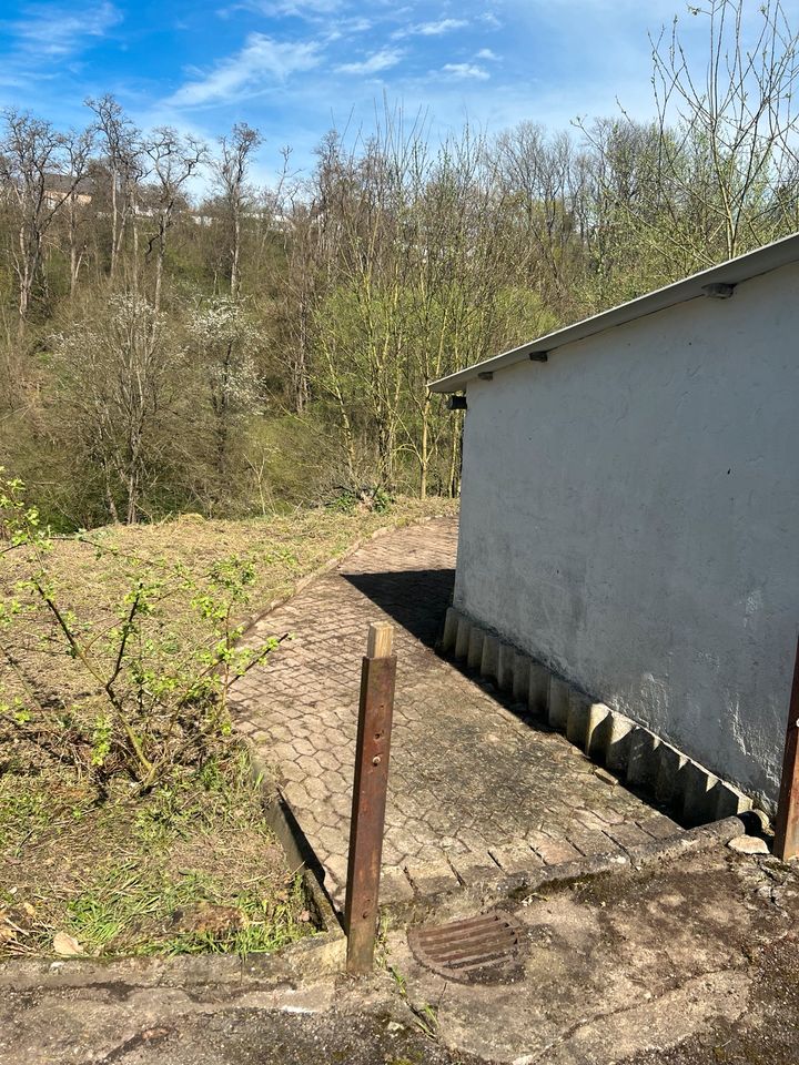 Gartenpflege, Rasen mähen , Hecken/Sträucher schneiden, in Hillscheid