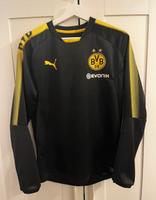 BVB Pullover Bayern - Roth Vorschau