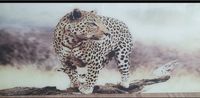 XXL EUROGRAPHICS GLASBILD LEOPARD Wandbilder Glasbild Bayern - Straubing Vorschau