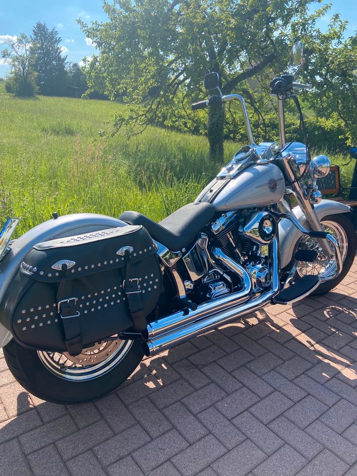 Harley Davidson FLSTF in Niefern-Öschelbronn