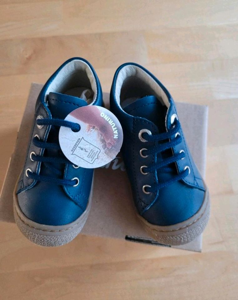 Naturino Lernlaufschuhe Leder Schuhe Halbschuhe blau 20 in Landau in der Pfalz