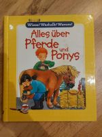 Wieso weshalb warum  Alles über Pferde und Ponys. Gerbstedt - Friedeburg Vorschau