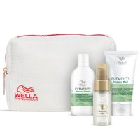 WELLA Travel Set Elements NEU Niedersachsen - Sickte Vorschau