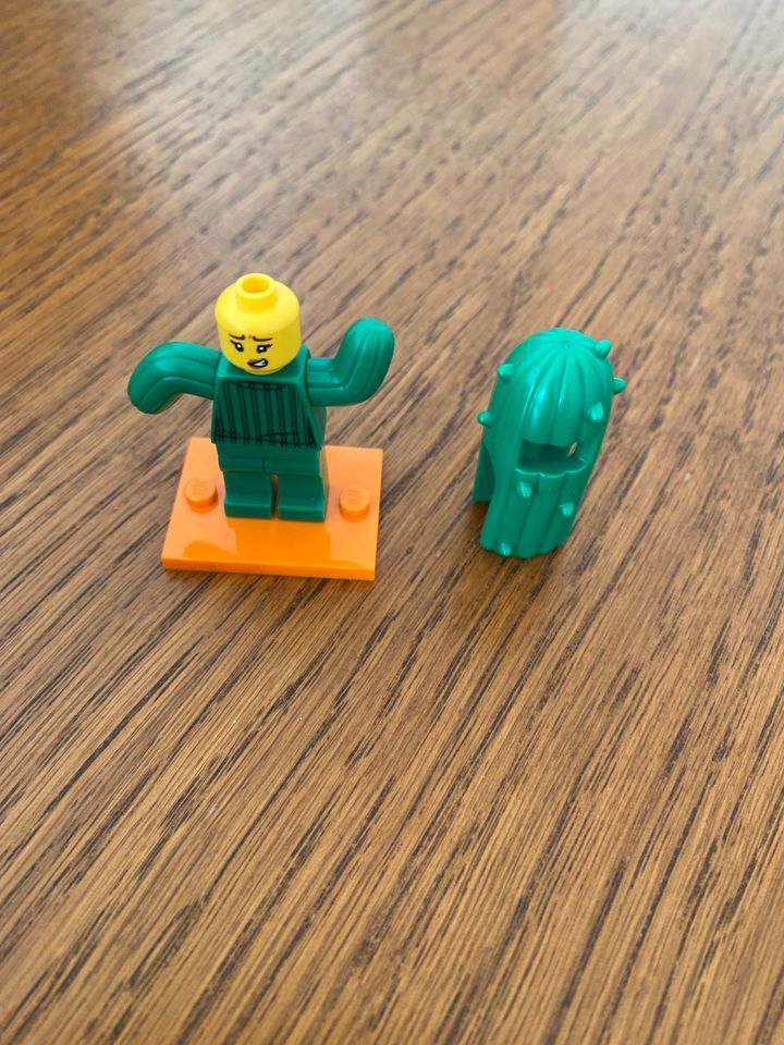 Lego Männchen Kaktus in Kassel