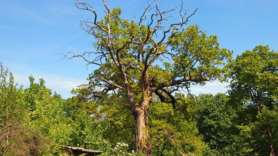 ***Großes Haus mit Charme für Naturliebhaber*** in Marienfließ