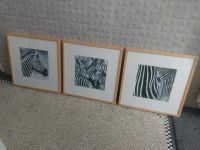 3 x Zebra Bilder gerahmt 54 x 54 cm Hessen - Korbach Vorschau