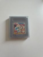 Game Boy Spiel Asterix & Obelix Schleswig-Holstein - Harrislee Vorschau