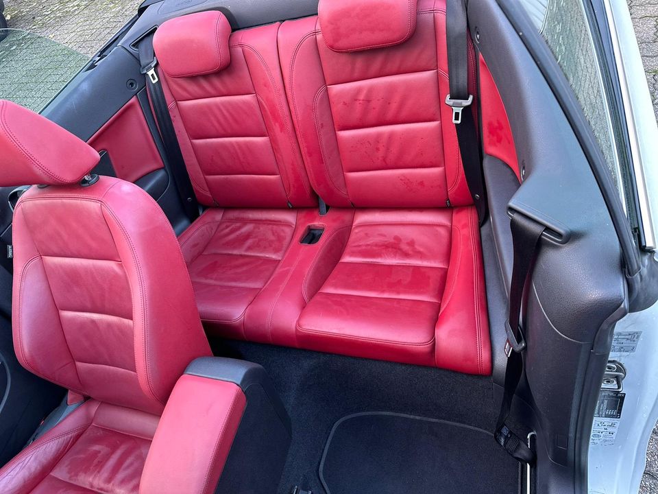 Vw Golf Cabrio 2.0 Diesel, DSG Automatik in Herne