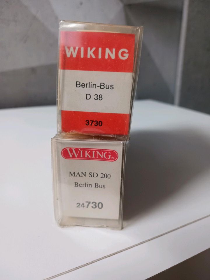 Wiking Busse in Papenburg