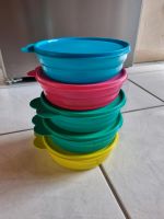 Tupperware Brotzeitboxen rund Box Set Bayern - Schweinfurt Vorschau