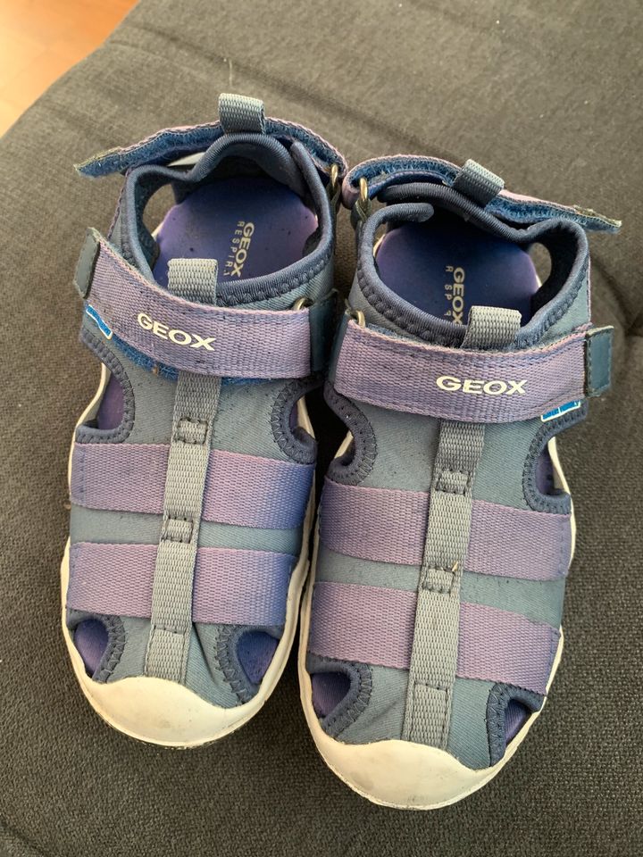 Geox Sandalen 31 in Freiberg am Neckar