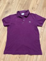 Lacoste Polohemd lila gr. M - L, gr. 38 - 40 schick Bielefeld - Heepen Vorschau