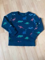 Dino Pulli Sweater Sweatshirt 128 Tough Team Schwerin - Schelfstadt Vorschau