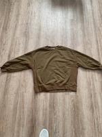 Pulli  Primark M Burglesum - Lesum Vorschau