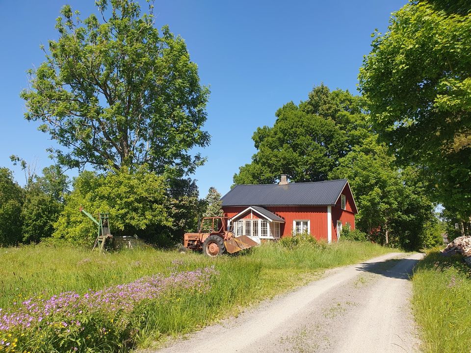 Schweden Anwesen Haus Landschaftsanwesen auf 10,1 Hektar in Putgarten