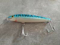 Rapala Magnum Floater F11 MAG 11cm 15g Wobbler Köder Salzwasser Hamburg-Nord - Hamburg Alsterdorf  Vorschau