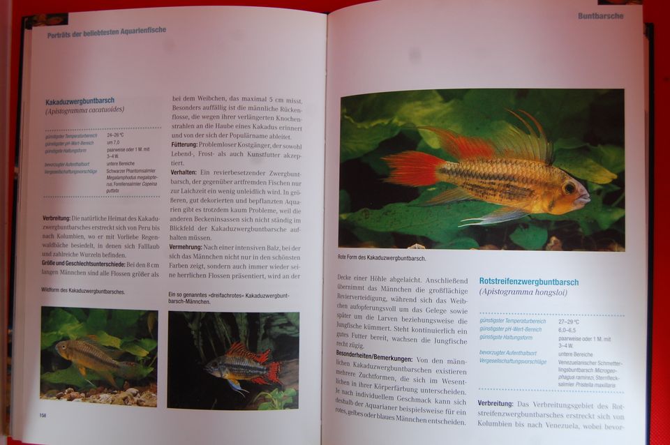 Lexikon Aquarien Fische Buch Weltbild Verlag Wasser Tiere Natur in Nordhorn