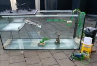 Wasserschildkröten Aquarium gebraucht Nordrhein-Westfalen - Voerde (Niederrhein) Vorschau