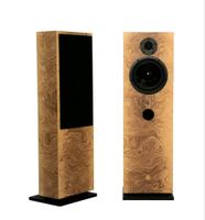 Geometric Harmony Speakers  MAGNO SE Stand/Wandlautsp Olivenholz Nordrhein-Westfalen - Hamm Vorschau