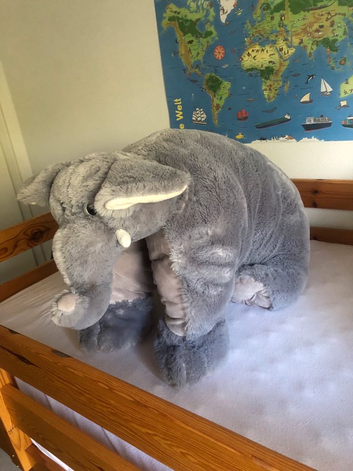 Kuscheltier+Kissen Elephant ungefähr 90cm/80cm ausgebreitet in Lotte