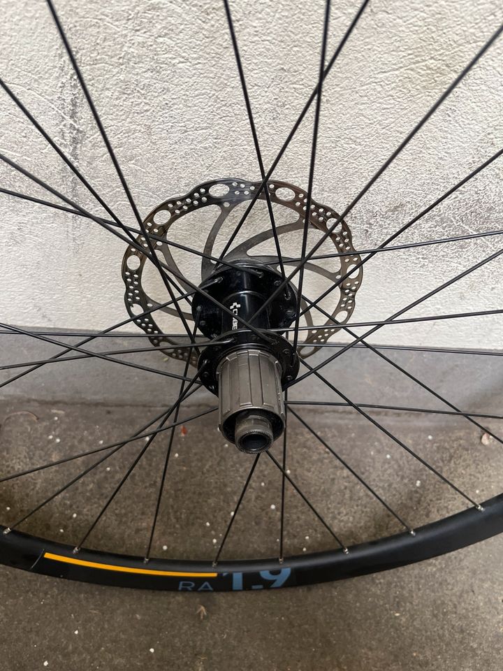 Laufradsatz Gravel, 28,29 zoll, Alexrims, Cube, DT Swiss, Fulcrum in Dresden