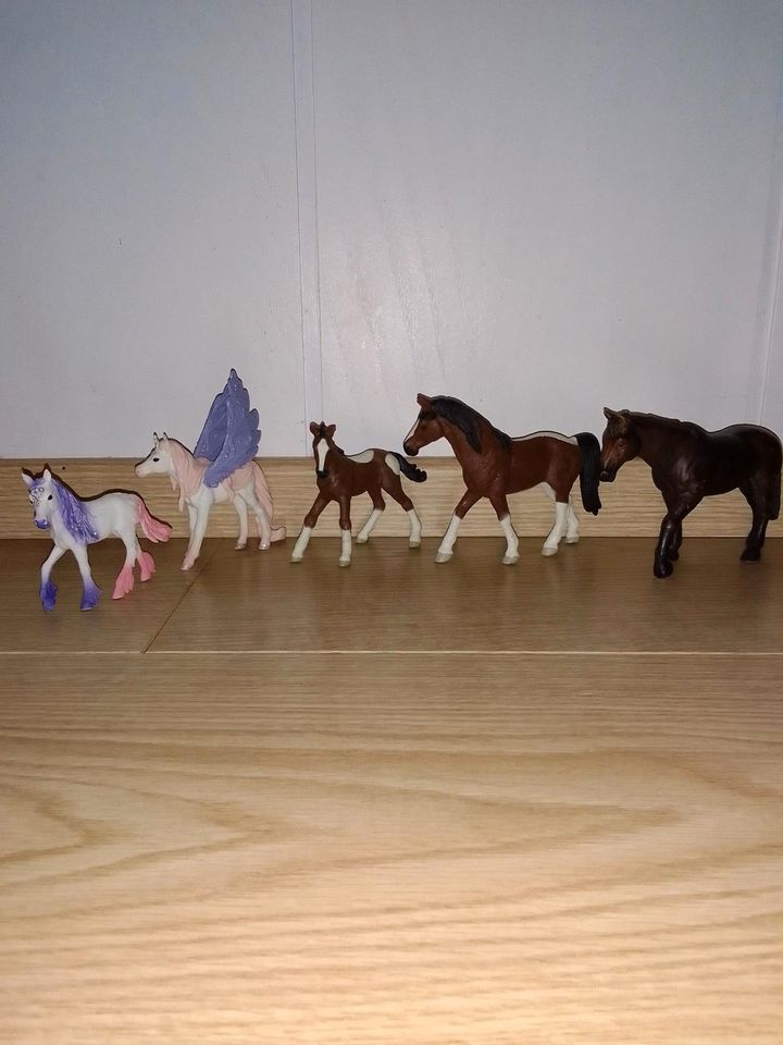 Schleich Pferde in Salzgitter