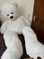 Riesen Teddybär Bayern - Freising Vorschau