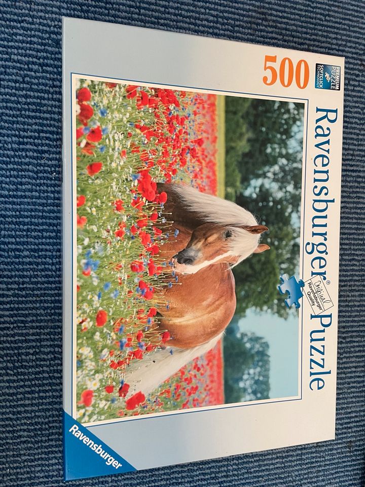 Puzzle von Ravensburger in Haßbergen