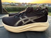 Asics Gel Nimbus 27 Neu Gr. 42 Laufschuh Damen Rheinland-Pfalz - Wittgert Vorschau