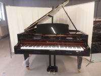 Amazing Bösendorfer 170 cm, Lieferung in Deutschland kostenlos! Nordrhein-Westfalen - Leverkusen Vorschau