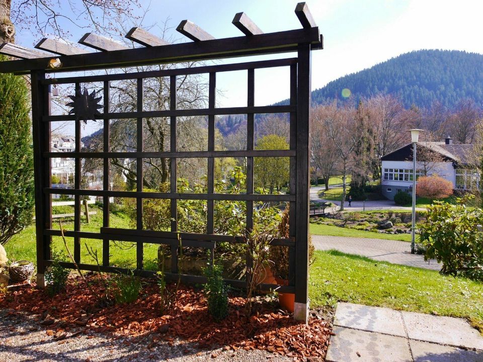 Fewo B am Kurpark (2-3P.) Willingen Sauerland Ferienwohnung in Willingen (Upland)