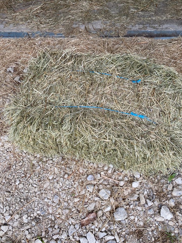 Heuballen zum einstreuen für Hühner oder als Sitz Gelegenheit. in Niedereschach