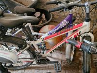 Ein 24 Zoll  kinderfahrrad , Mountainbike - gebraucht Rheinland-Pfalz - Insheim Vorschau