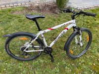 Jugendfahrrad / Mountainbike / Specialized München - Untergiesing-Harlaching Vorschau