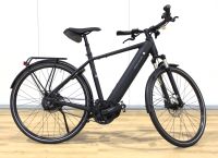 Riese & Müller Roadster vario, 51cm, 625Wh, Enviolo, Gates Riemen Bayern - Freystadt Vorschau