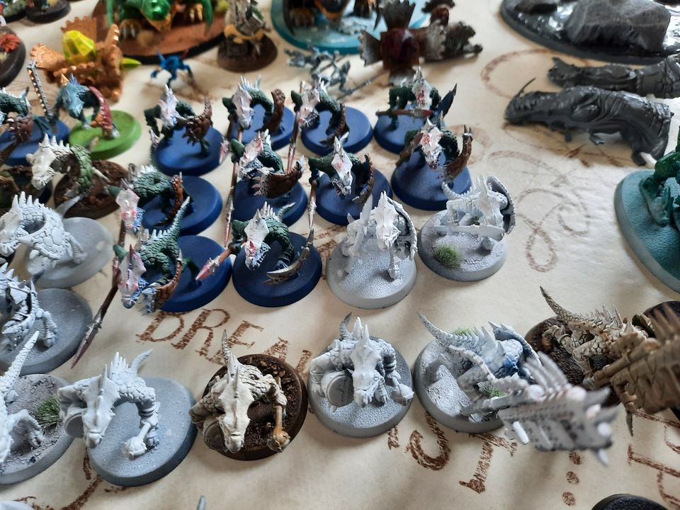 Age of Sigmar Seraphon Armee in Nortorf