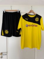 Trikot Puma BVB09 Gr. 176 Rheinland-Pfalz - Eich Vorschau