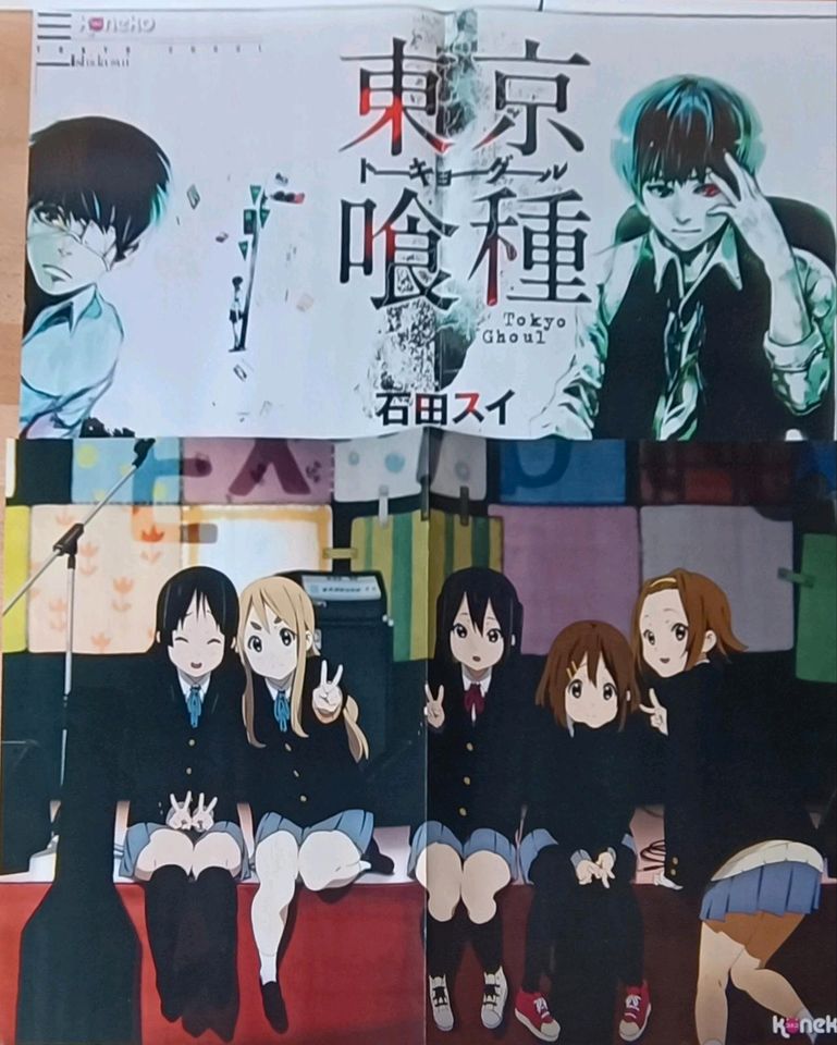Anime manga merch poster koneko in Potsdam