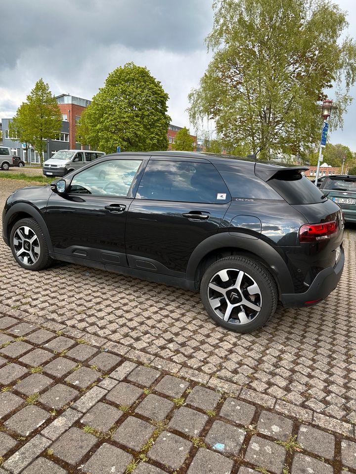 Citroen C4 Cactus Shine in Delmenhorst