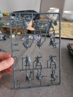 Minas Tirith Krieger - 12 MESBG Herr der Ringe Tabletop Hessen - Kassel Vorschau