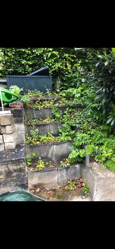 Hecke schneiden Gartenhilfe Kreise Heinsberg Aachen Düren Jülich in Geilenkirchen