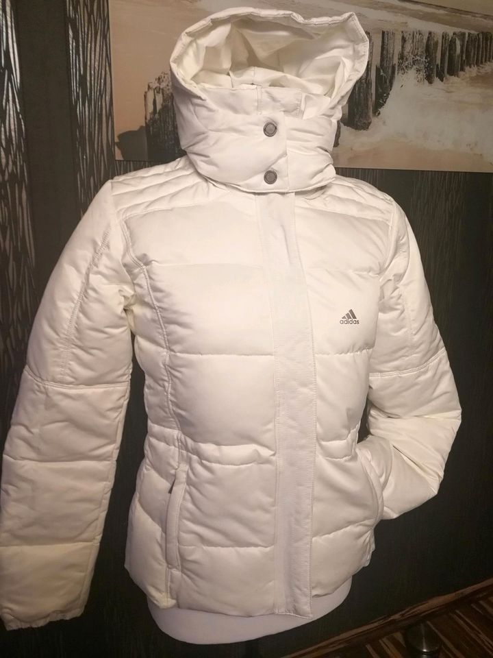 adidas Winterjacke Steppjacke beige Creme Gr.34 in Ebermannstadt