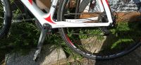 Pinarello Carbon Rennrad Kreis Pinneberg - Pinneberg Vorschau