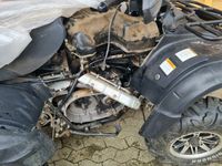 Suche eine Quad für Bastler Defekt Motorschaden Unfall Nordrhein-Westfalen - Borken Vorschau